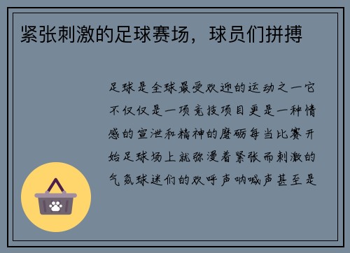 紧张刺激的足球赛场，球员们拼搏