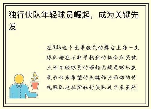 独行侠队年轻球员崛起，成为关键先发