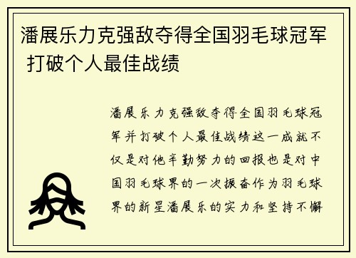 潘展乐力克强敌夺得全国羽毛球冠军 打破个人最佳战绩